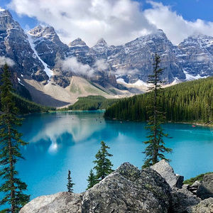 Meet your Posher, Pedro